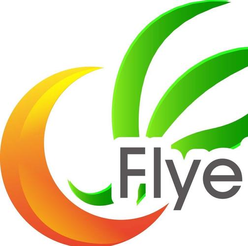 朱清清与深圳星驰盛世科技 高管与股东背后的故事